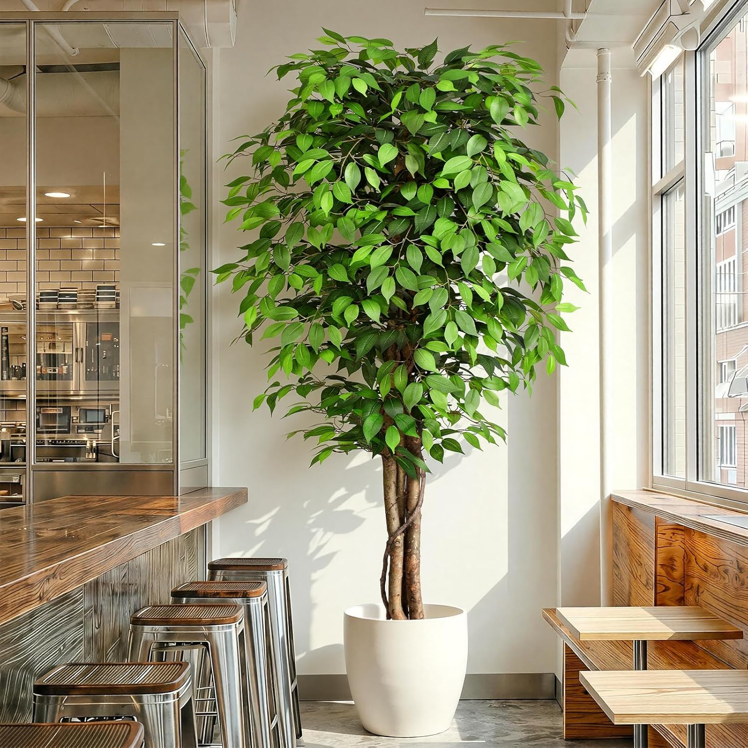 Ficus Lyrata Tree - Cây sung nhân tạo trông như
